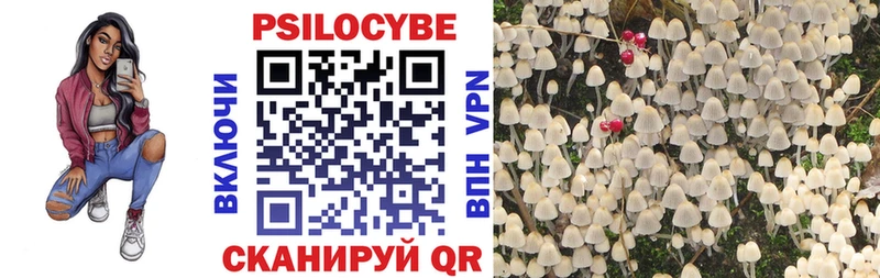 МЕГА как войти  Бахчисарай  Псилоцибиновые грибы Cubensis 