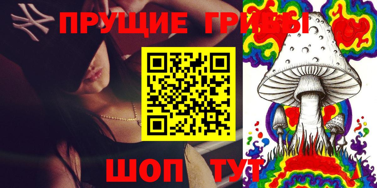 Псилоцибиновые грибы Psilocybe Бахчисарай